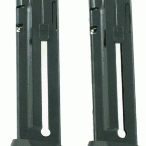 Ruger SR22 10 Round 2 Pack